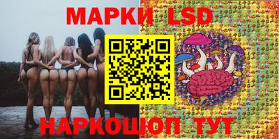 apvp Будённовск