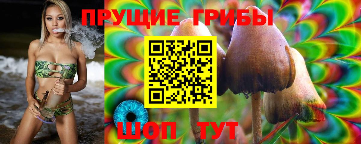 Псилоцибиновые грибы мицелий  Псилоцибиновые грибы Cubensis  даркнет сайт  Павлово  Вход с VPN 